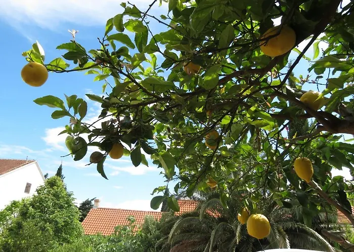 Sd House Vendégház